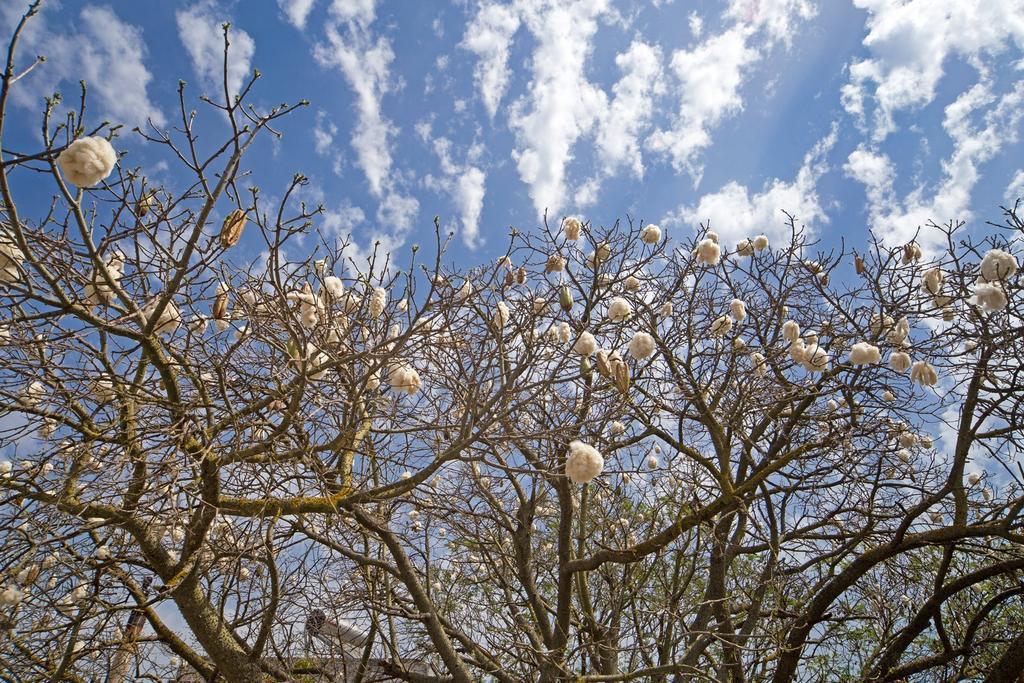 塔维亚诺Giardino Nascosto住宿加早餐旅馆 外观 照片